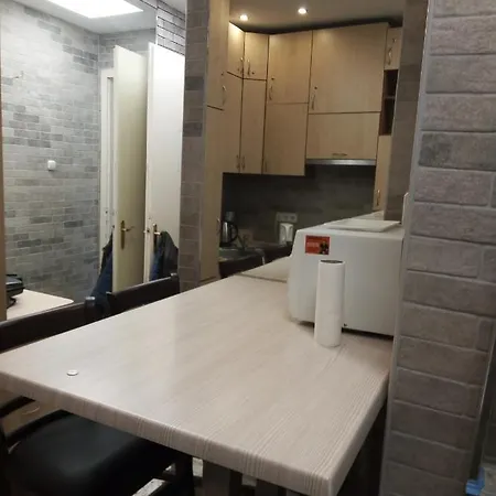 Apartment 市中心民宿